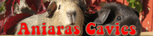aniaras cavies